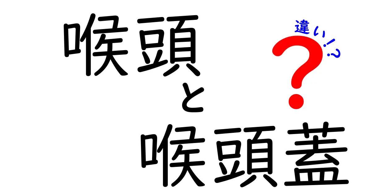 喉頭と喉頭蓋の違いを徹底解説!中学生にもわかる図解つきの基本ガイド