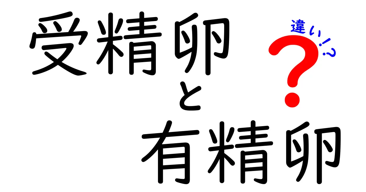 受精卵と有精卵の違いを中学生にもわかるように徹底解説！基礎知識から表で比較まで