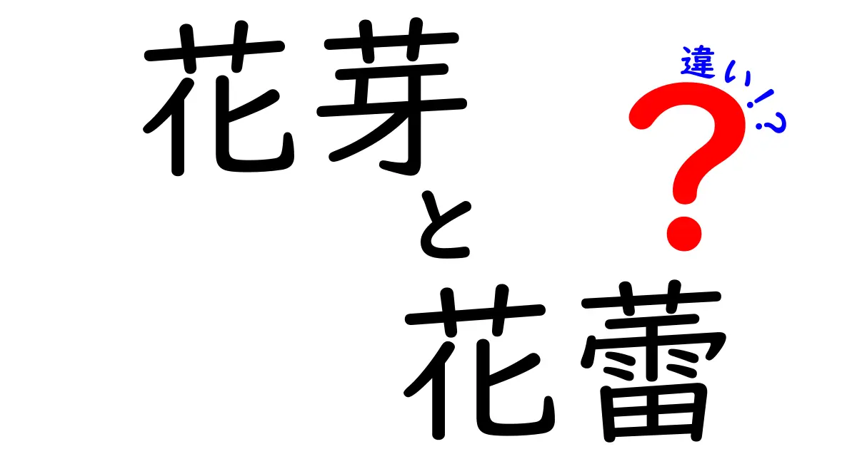 花芽と花蕾の違いとは？初心者でもわかる基本ポイントを徹底解説！