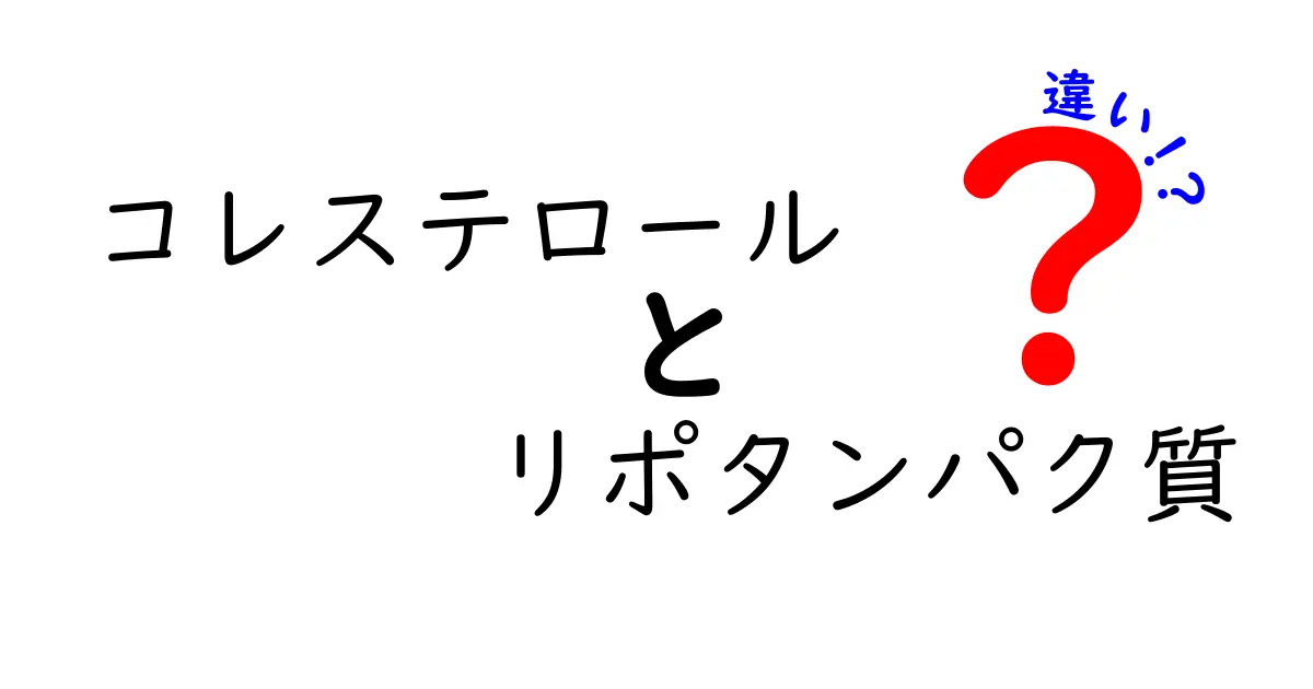 コレステロールとリポタンパク質の違いを徹底解説！健康管理に必須の知識