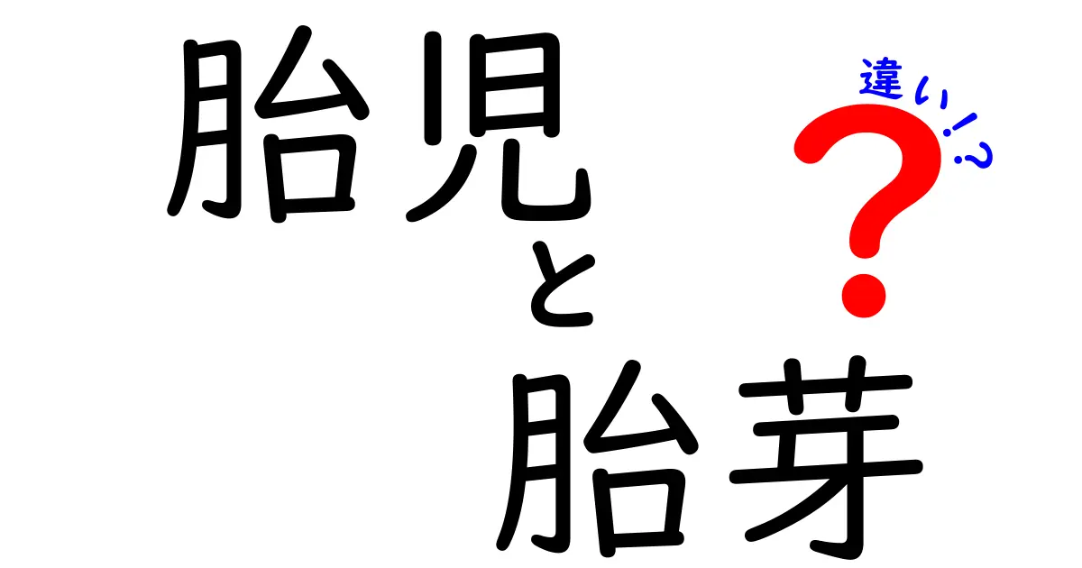 胎児と胎芽の違いを完全ガイド｜発生段階の違いを中学生にもわかる言葉で解説