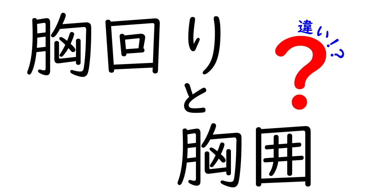 胸回りと胸囲の違いを徹底解説!胸回り・胸囲・違いを中学生にもわかる解説