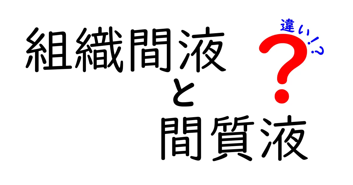 組織間液と間質液の違いを分かりやすく解説！中学生にも伝わるポイントまとめ