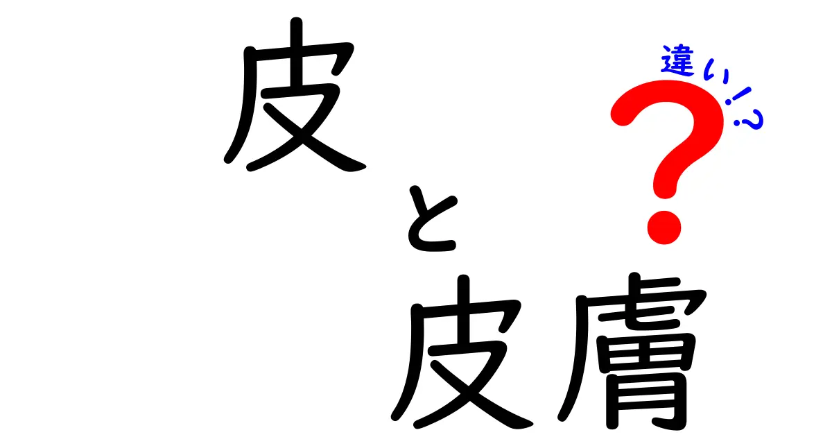 皮と皮膚の違いを徹底解説！日常と医療の場での使い分けをマスターしよう