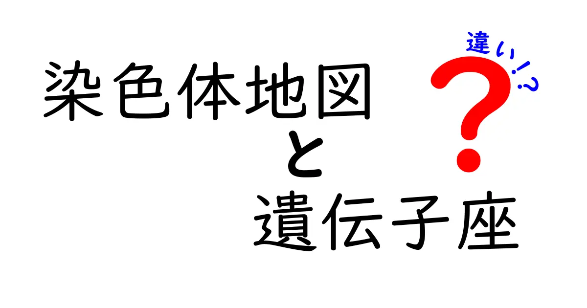 染色体地図と遺伝子座の違いをわかりやすく解説します:地図と座標の読み解きガイド
