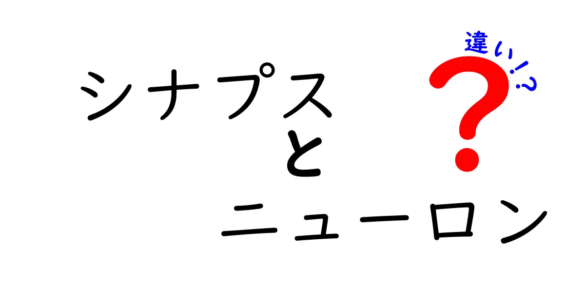 シナプスとニューロンの違いを徹底解説!中学生にもわかるやさしい比較ガイド