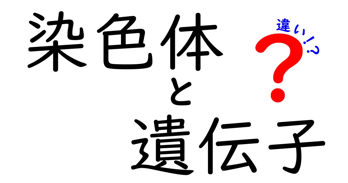 染色体と遺伝子の違いを徹底解説!中学生にもわかる遺伝の基本入門