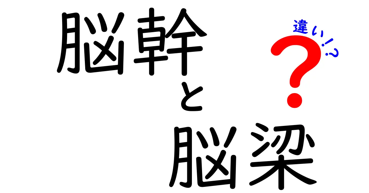 脳幹と脳梁の違いを徹底解説!中学生でも分かる脳のしくみガイド