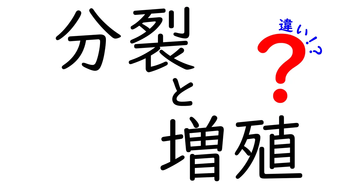 分裂と増殖の違いを徹底解説!中学生にも分かる分裂と増殖の決定的な違い