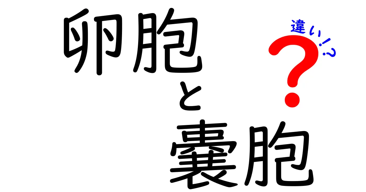卵胞と嚢胞の違いを徹底解説！医療現場での見分け方と日常ケアのポイント