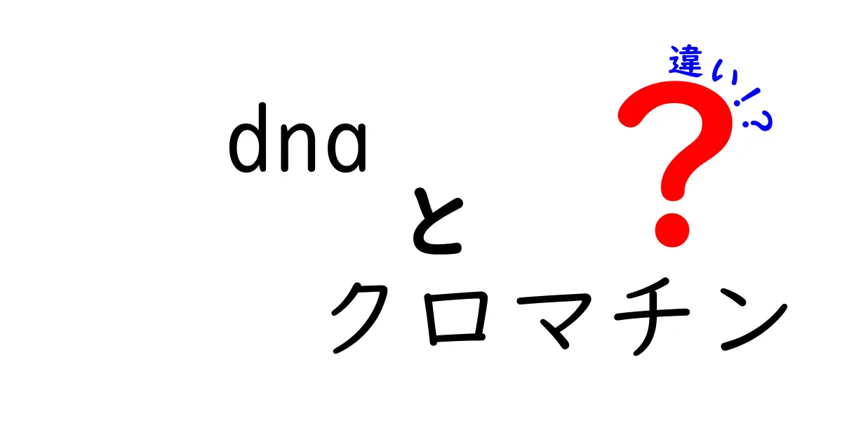 DNAとクロマチンの違いを一冊でマスター!中学生にもわかる超かんたん解説