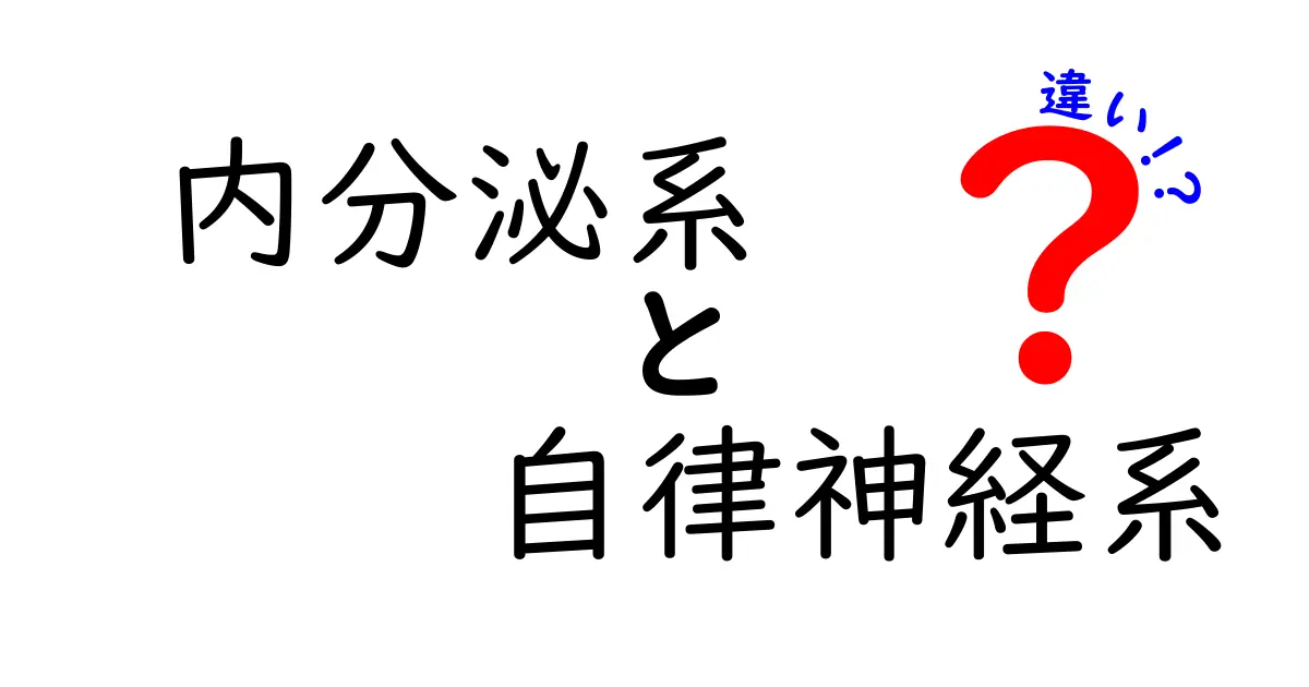 内分泌系と自律神経系の違いを徹底解説：中学生でも分かるポイントと見分け方