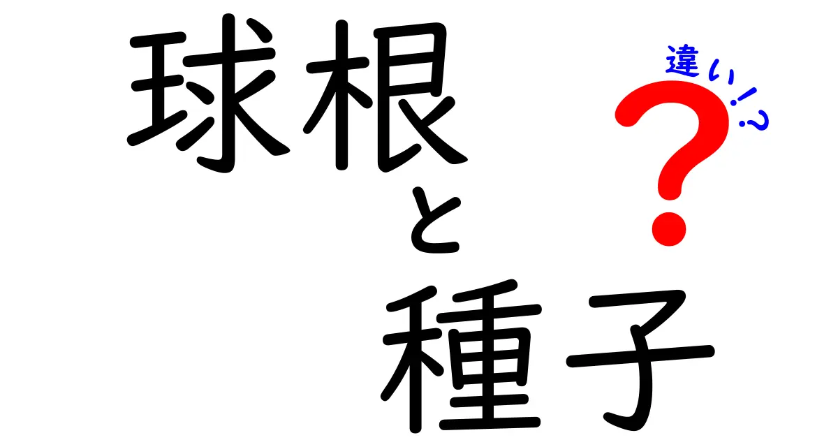 球根と種子の違いとは？初心者にもわかりやすく徹底解説！