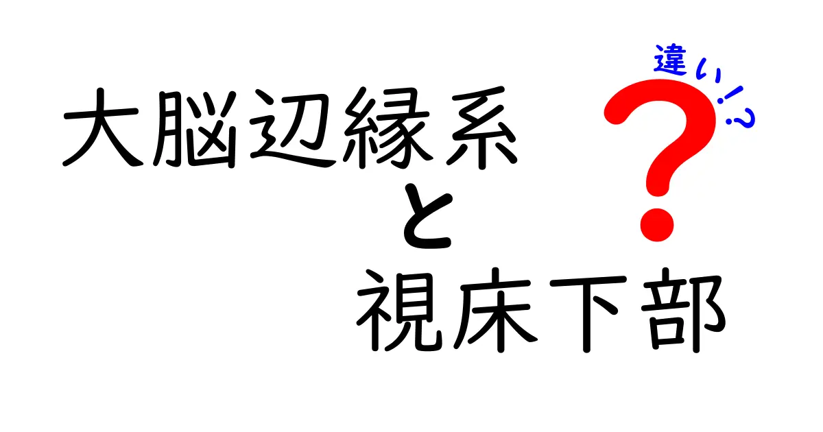 大脳辺縁系と視床下部の違いを徹底解説!感情とホルモンの秘密を中学生にもわかる言葉で
