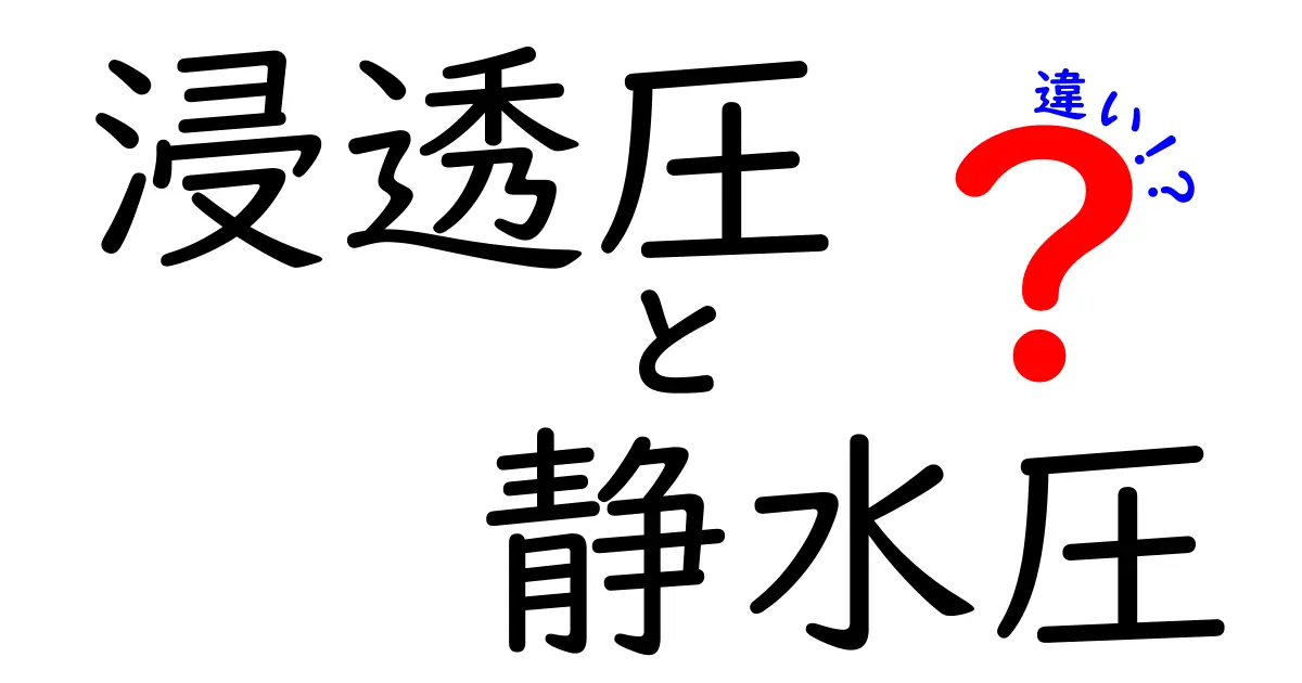 浸透圧と静水圧の違いをわかりやすく解説!身近な現象で理解しよう