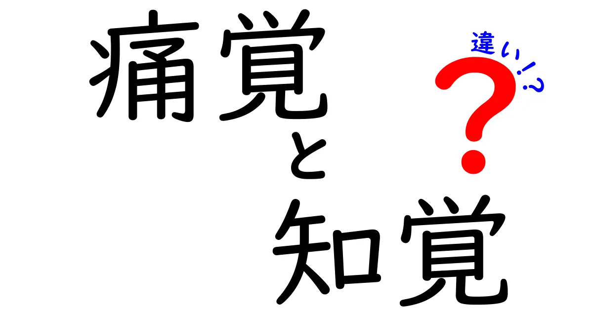 痛覚と知覚の違いを徹底解説!中学生にも分かる3つのポイント