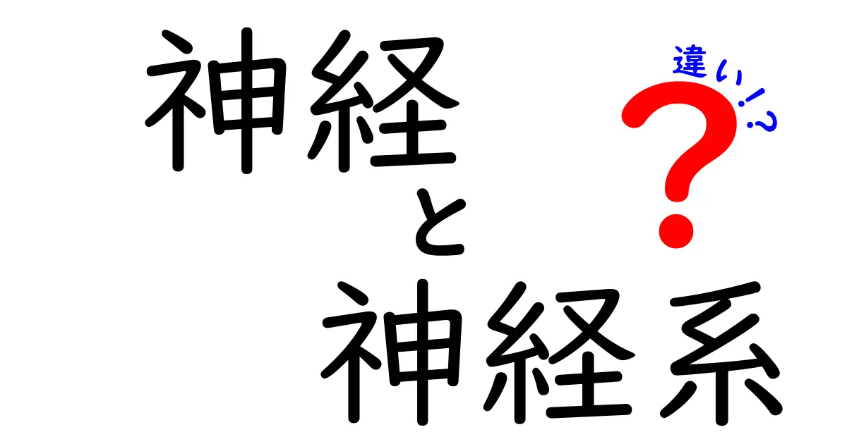 神経と神経系の違いを徹底解説!中学生にも伝わるやさしい比較ガイド