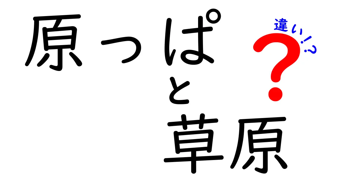 原っぱと草原の違いとは?わかりやすく自然の特徴を徹底解説!