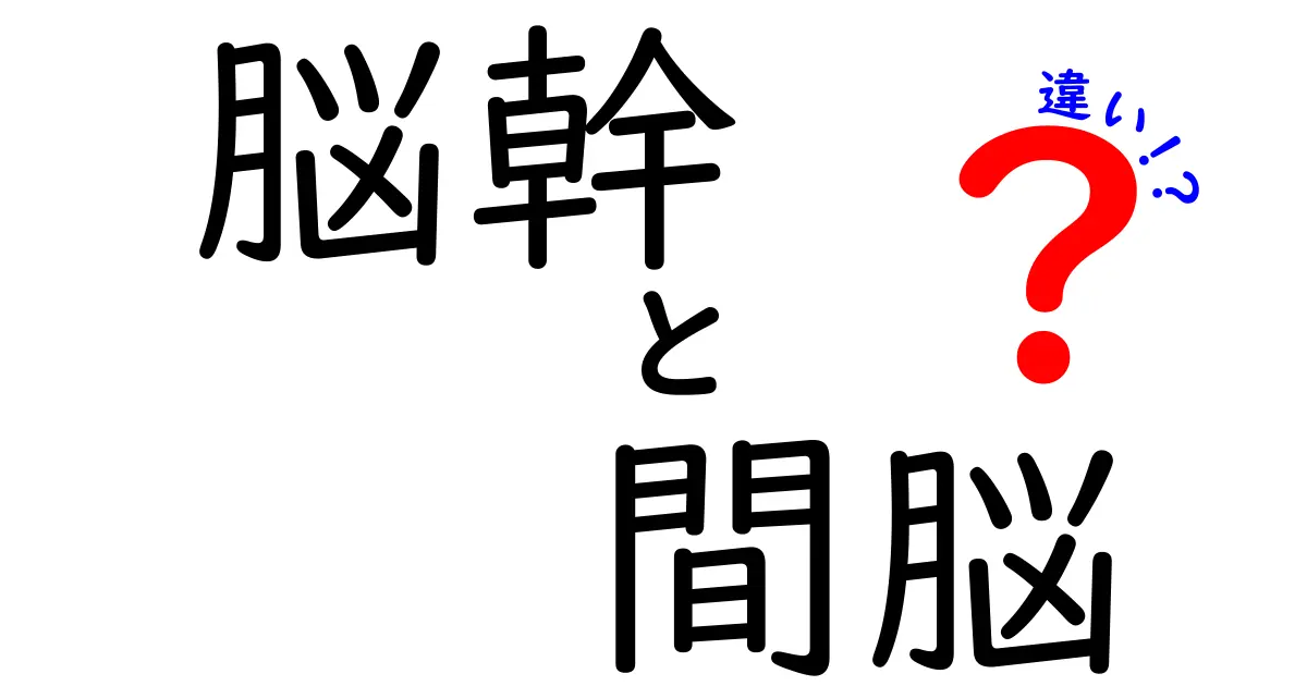 脳幹と間脳の違いをゼロから理解する 中学生にも分かる図解つき徹底解説