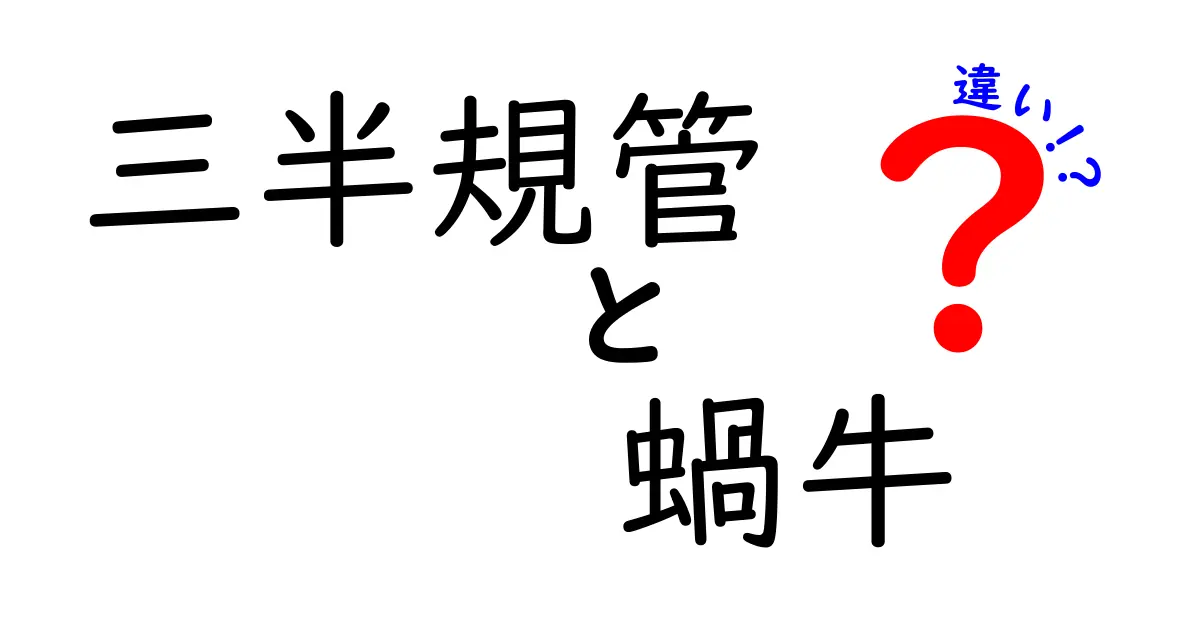 三半規管と蝸牛の違いを徹底解説!耳の奥で起きている“2つの役割”とは