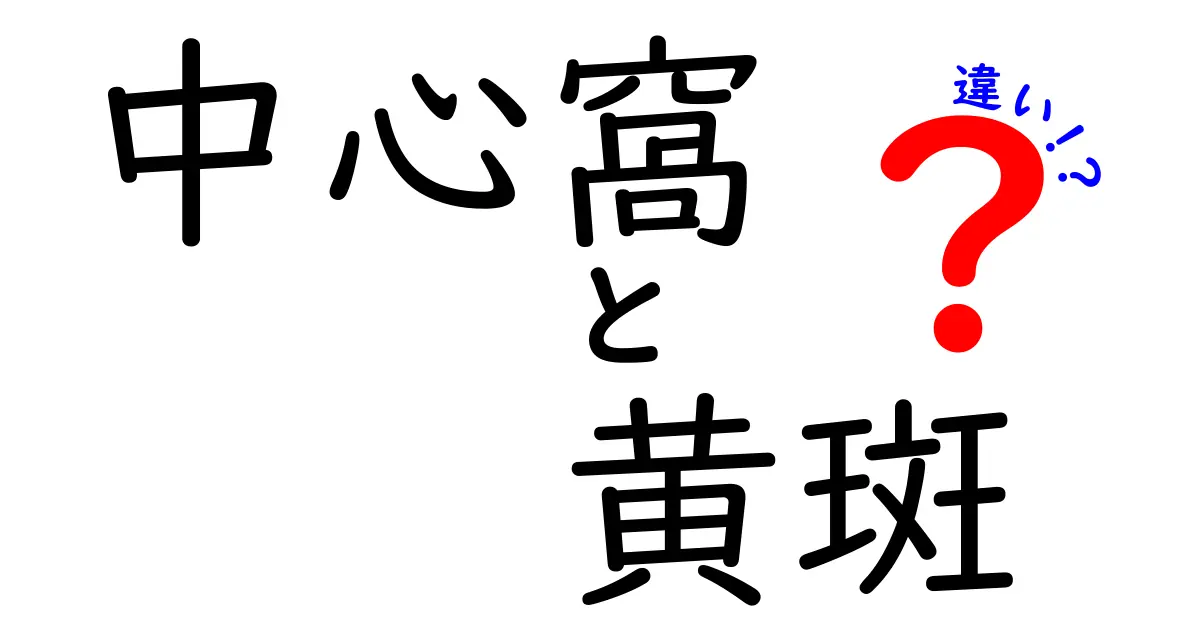 知っておくべき目の秘密!中心窪と黄斑の違いをやさしく解説