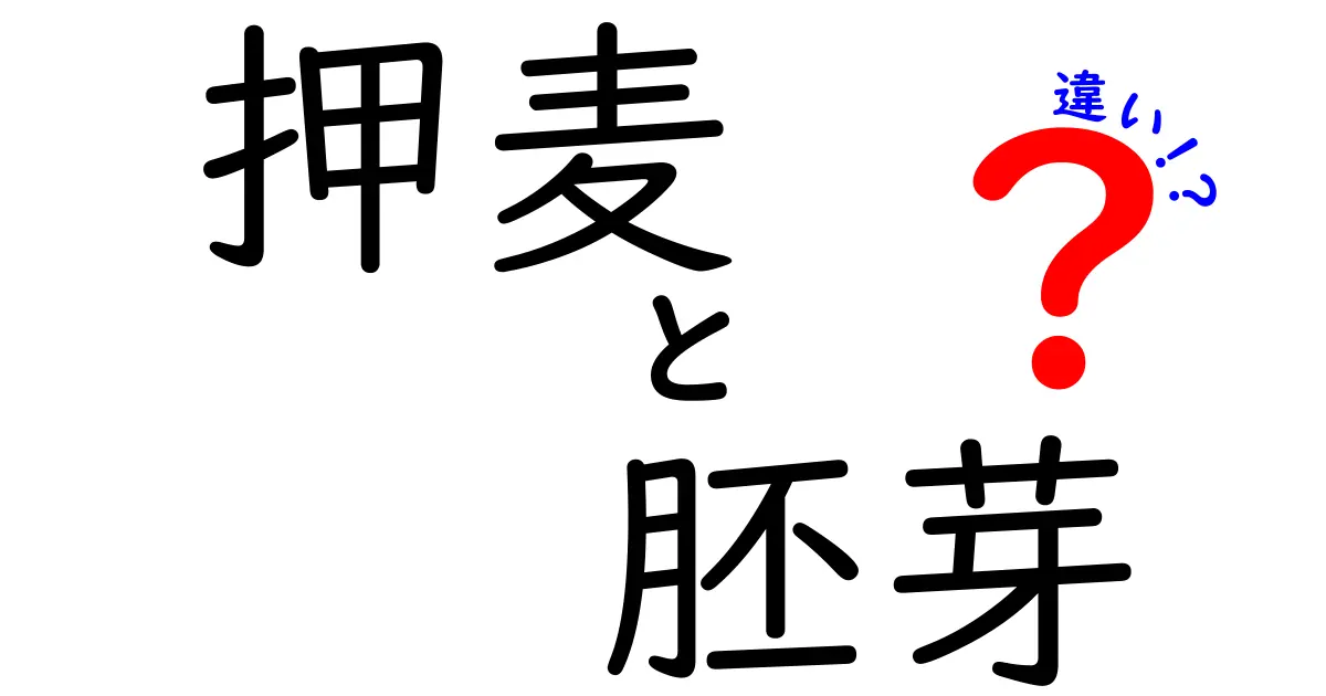 押麦と胚芽の違いを徹底解説!栄養と使い方を詳しく比較してみた