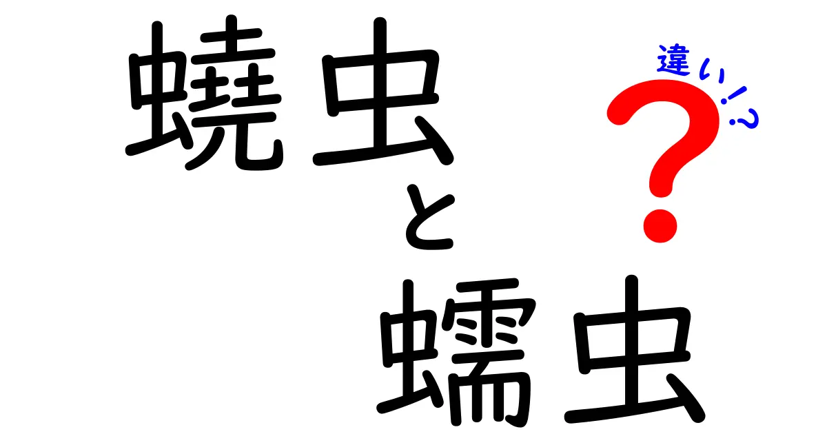 蟯虫と蠕虫の違いを徹底解説|中学生にも分かる図解つき