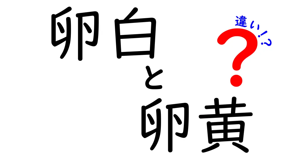 卵白と卵黄の違いを徹底解説!料理別の使い分けと栄養の新発見