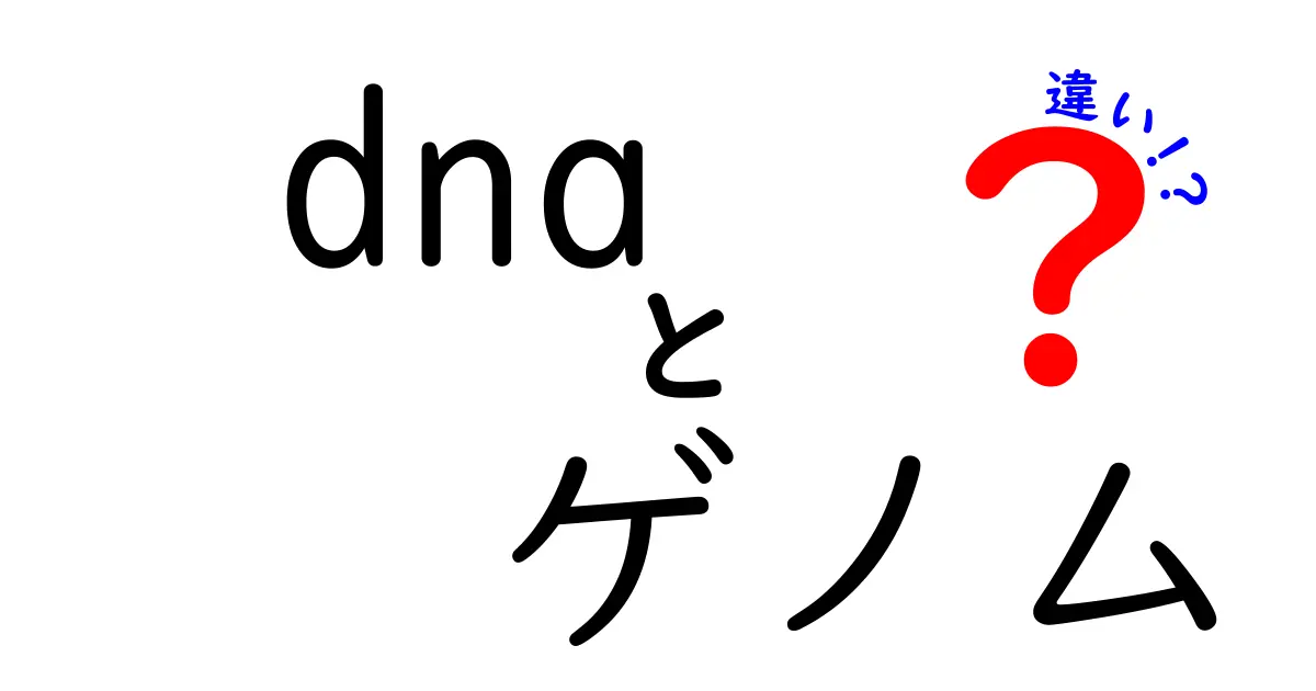 DNAとゲノムの違いを徹底解説!中学生にもわかる3つのポイント