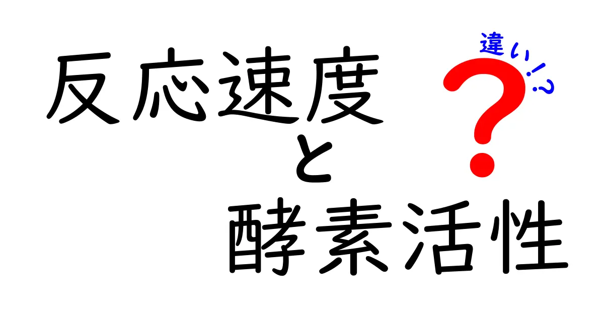 反応速度と酵素活性の違いを徹底解説!中学生にも伝わる科学の基本