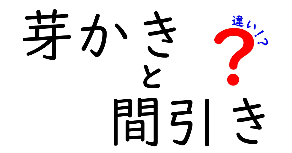 芽かきと間引きの違いを徹底解説!知らないと損する家庭菜園の基本テクニック