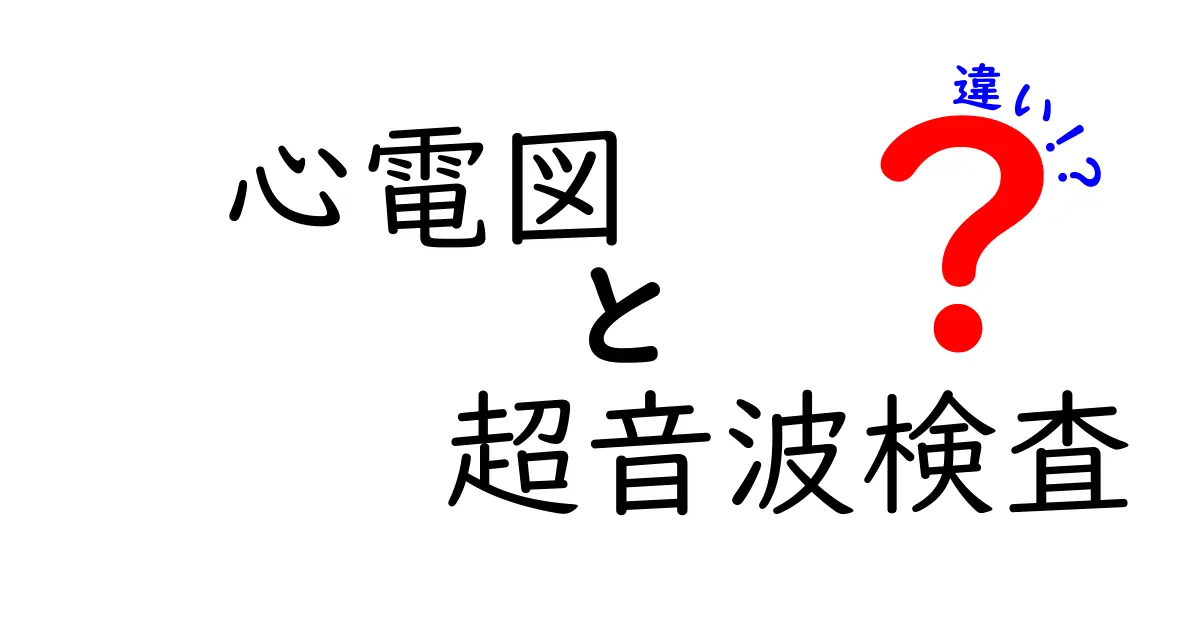 心電図と超音波検査の違いとは？中学生でもわかる簡単解説！