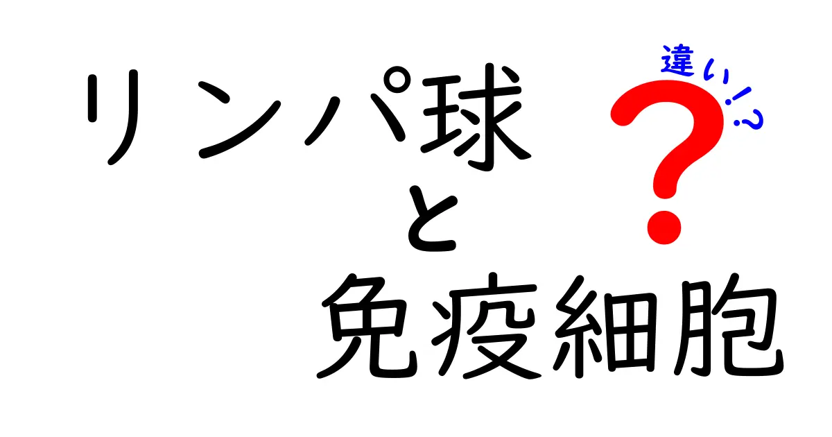 リンパ球と免疫細胞の違いを徹底解説！知らないと損する免疫の基礎知識