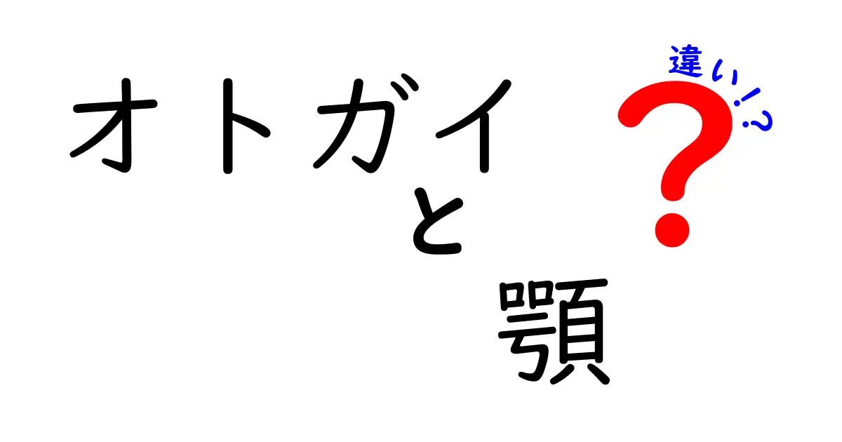 オトガイと顎の違いを完全解説!見た目と機能の秘密をわかりやすく紹介