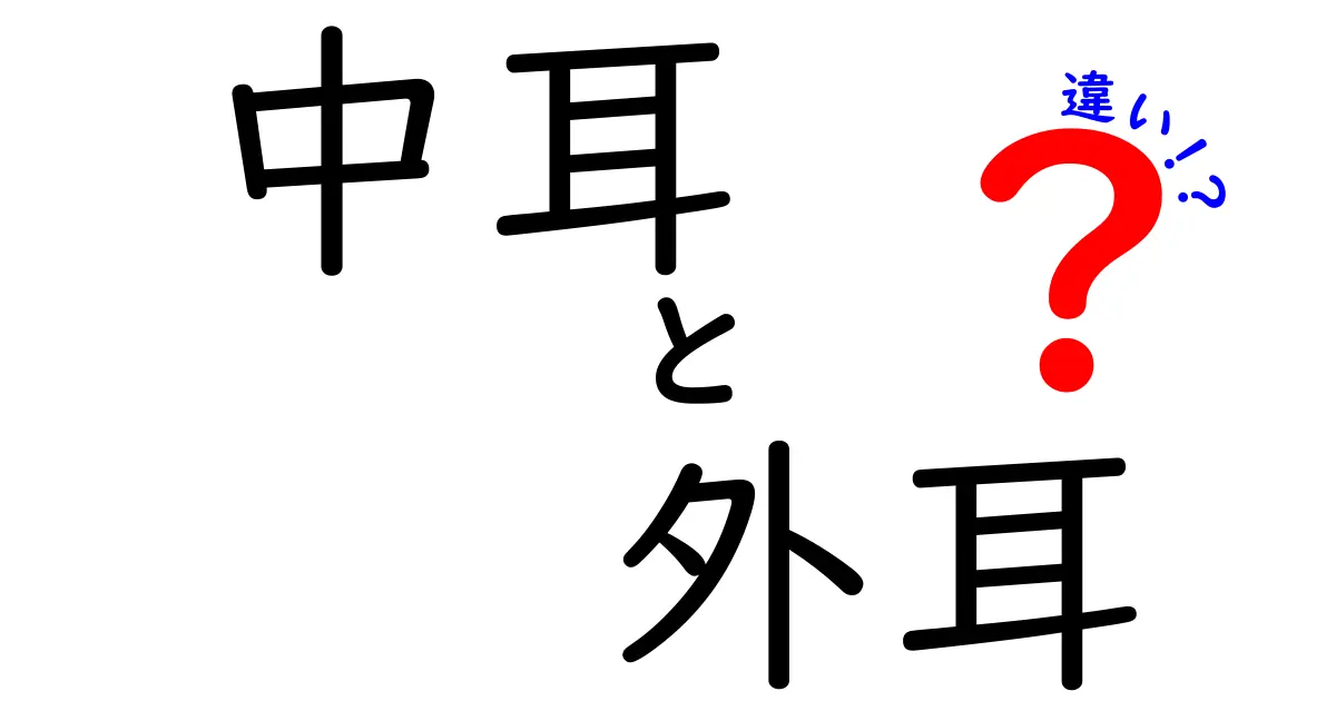 中耳と外耳の違いを徹底解説:しくみと役割をやさしく理解しよう