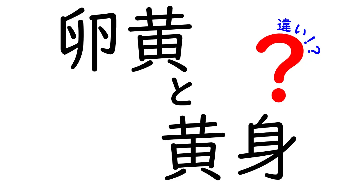 卵黄と黄身の違いはここが決め手！料理と健康の基礎を徹底解説