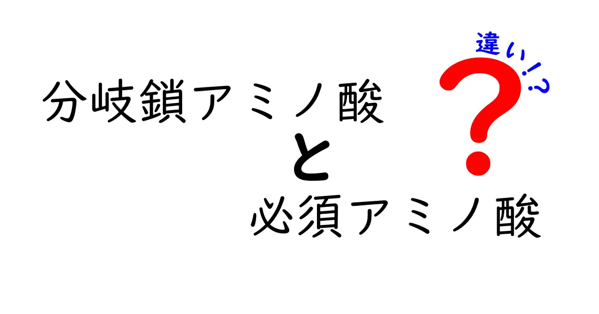 分岐鎖アミノ酸と必須アミノ酸の違いを徹底解説|中学生にもわかるポイントまとめ