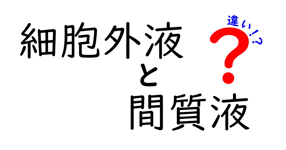 細胞外液と間質液の違いを徹底解説!中学生にもわかる図解つき基礎講座