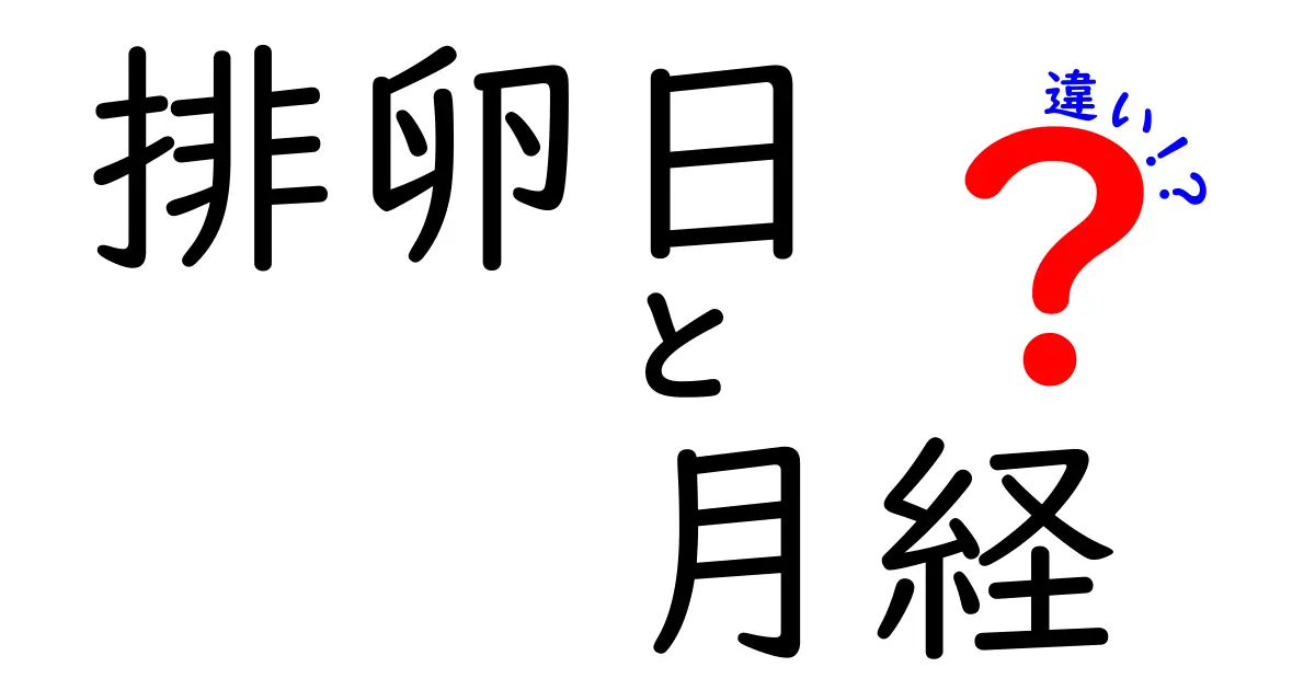 排卵日と月経の違いを徹底解説!いつ起きるのか、体はどう変わるのかを中学生にもわかる言葉で