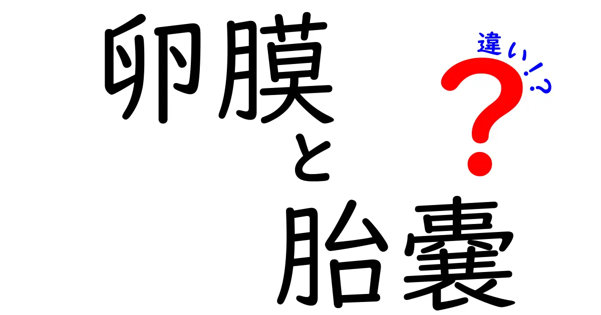 卵膜と胎嚢の違いを徹底解説!初心者にもわかる見分け方と基本知識
