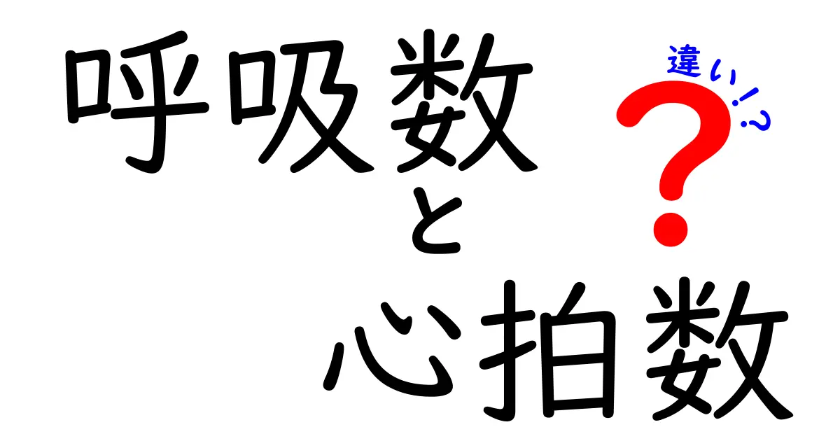 呼吸数と心拍数の違いをわかりやすく解説!中学生にも伝わる健康のサイン