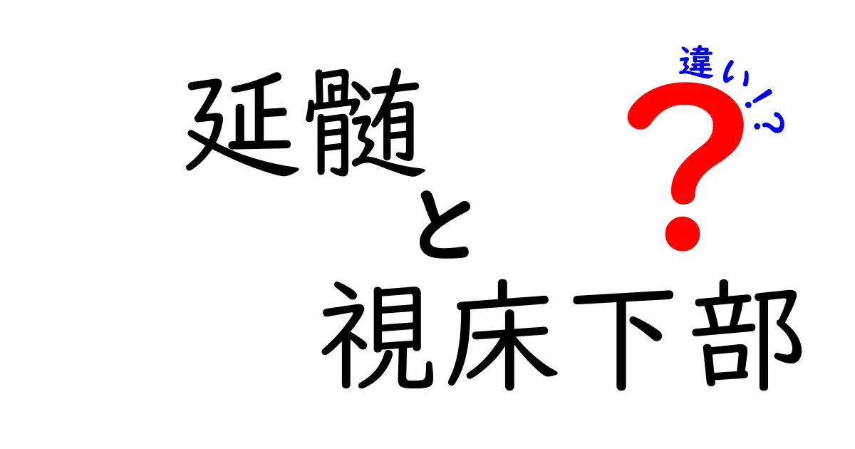 延髄と視床下部の違いがスッとわかる図解付きガイド