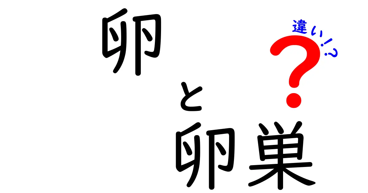 卵と卵巣の違いを徹底解説!体のしくみと食べ物の卵の違いをわかりやすく
