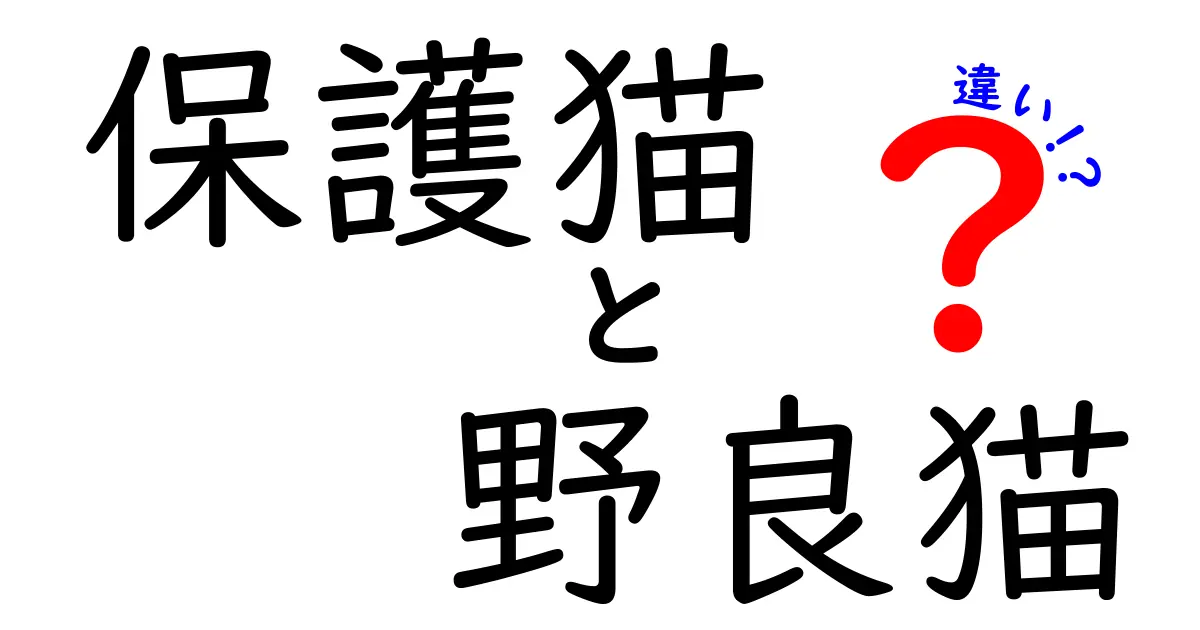 保護猫と野良猫の違いを徹底解説!飼い始める前に知っておくべきポイント