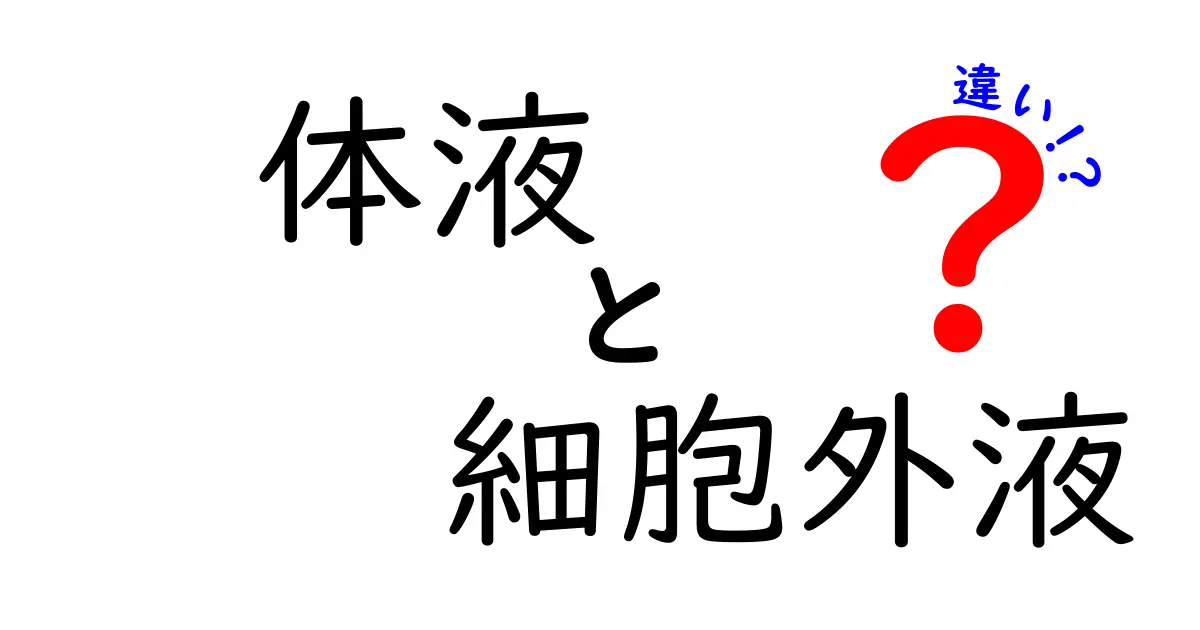 体液と細胞外液の違いを徹底解説！中学生にも分かる体のしくみと役割