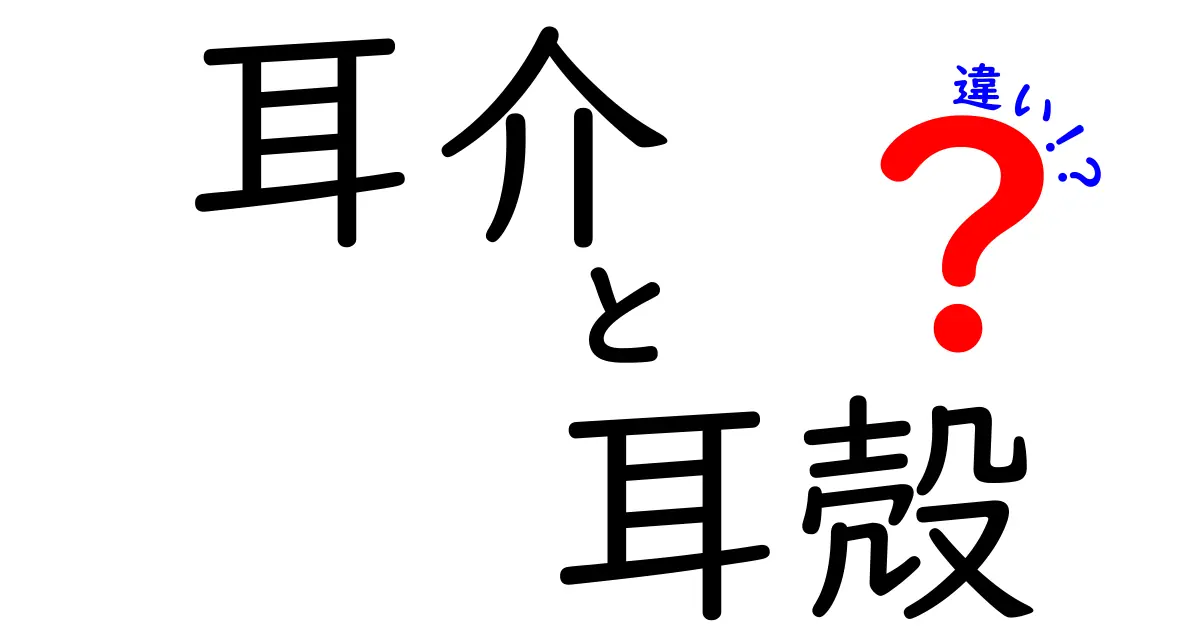 耳介と耳殻の違いを完全解説!中学生にもわかる耳の部位ガイド