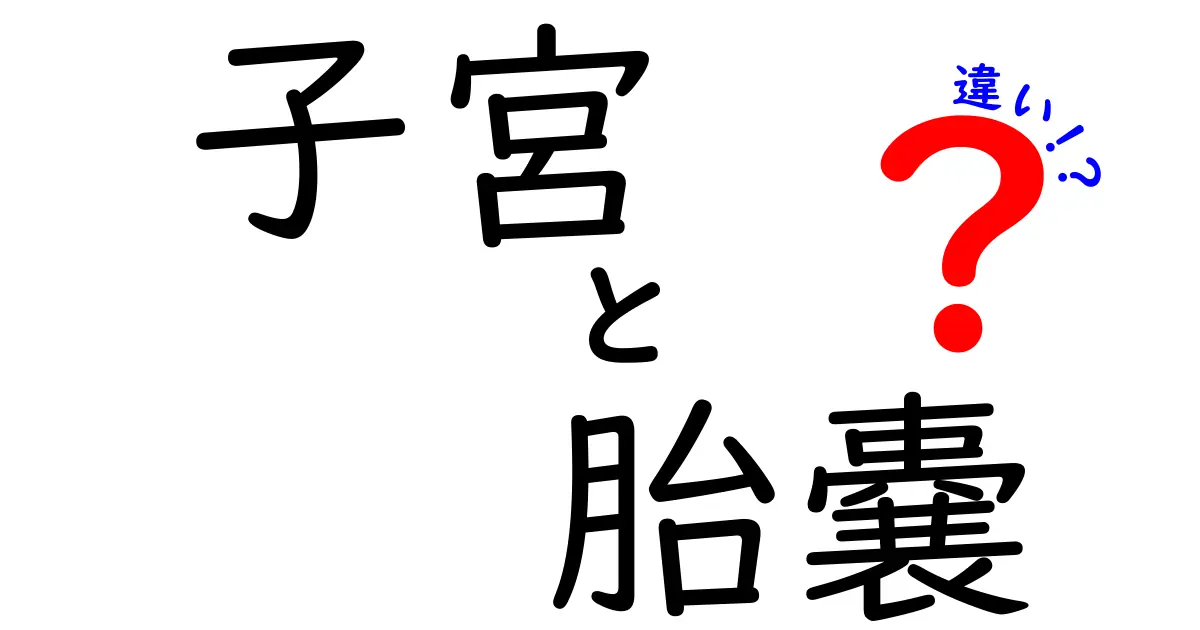 子宮と胎嚢の違いを徹底解説!妊娠初期の不安を減らす基本ガイド
