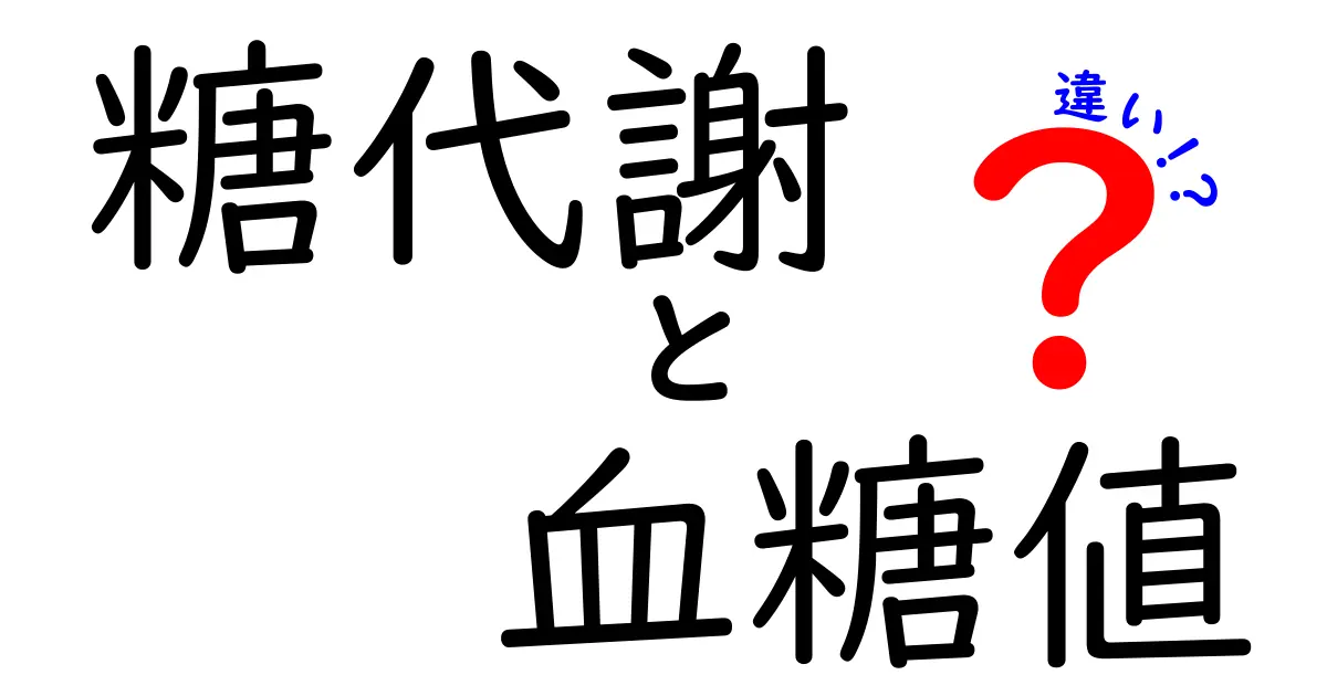 糖代謝と血糖値の違いを徹底解説!中学生にもわかるポイントと生活への活かし方