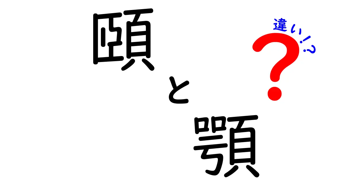 頤と顎の違いを完全解剖!中学生にも伝わる分かりやすい解説
