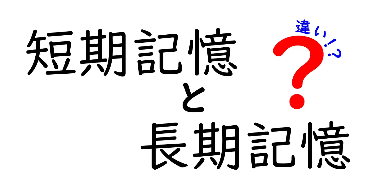 短期記憶と長期記憶の違いを徹底解説:勉強法から日常の記憶法まで